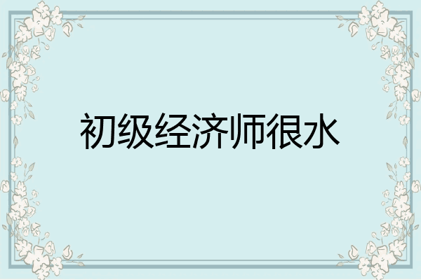 初级经济师很水