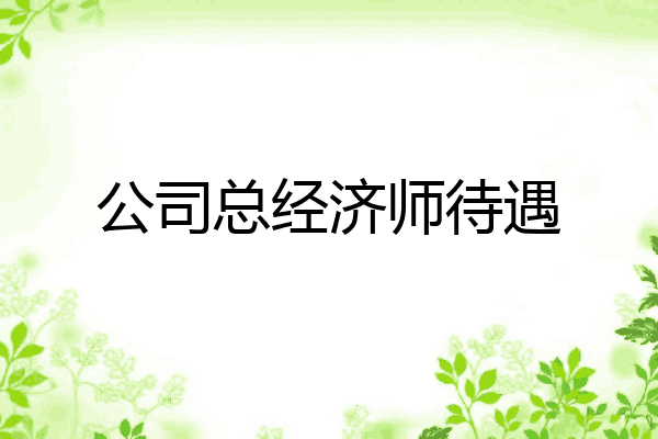 公司总经济师待遇