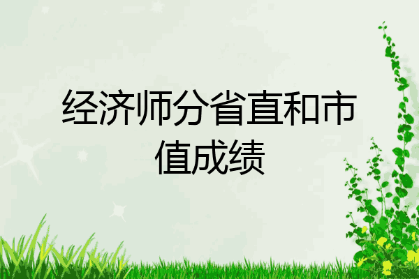 经济师分省直和市值成绩