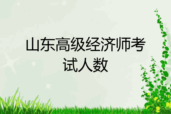 山东高级经济师考试人数