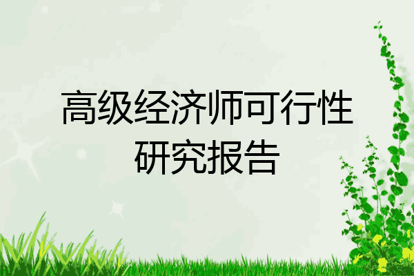 高级经济师可行性研究报告