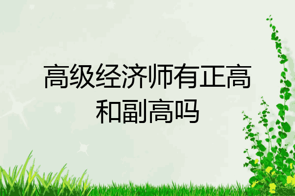 高级经济师有正高和副高吗