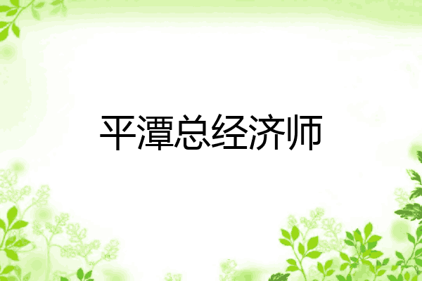平潭总经济师