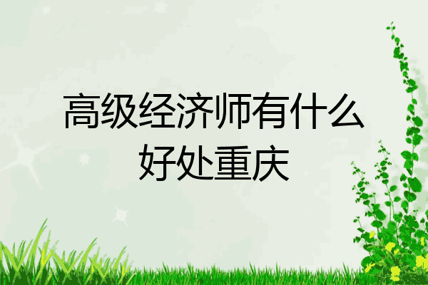 高级经济师有什么好处重庆