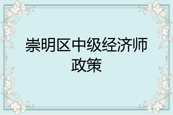 崇明区中级经济师政策