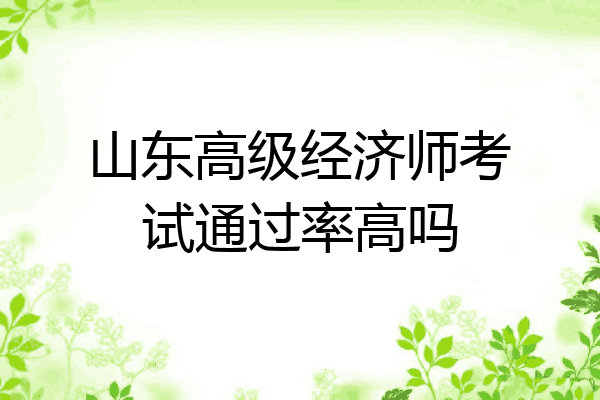 山东高级经济师考试通过率高吗