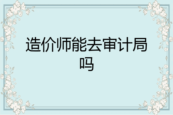 造价师能去审计局吗