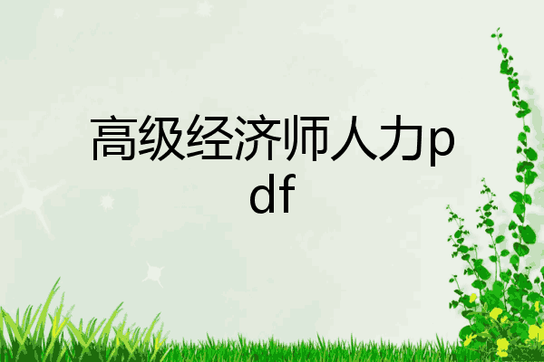 高级经济师人力pdf
