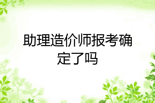 助理造价师报考确定了吗