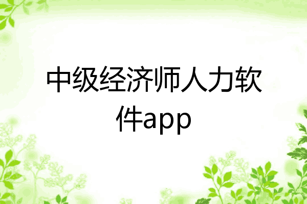 中级经济师人力软件app