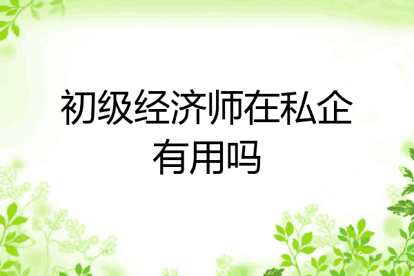 初级经济师在私企有用吗