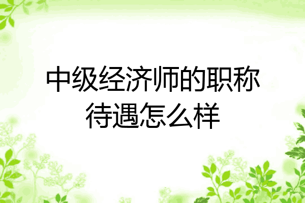 中级经济师的职称待遇怎么样