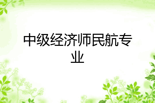 中级经济师民航专业