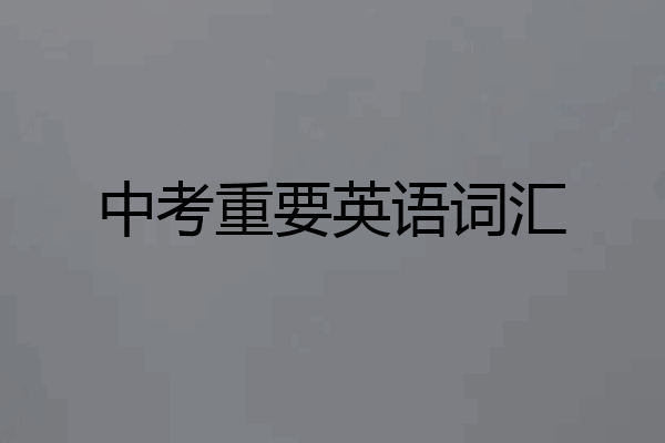 中考重要英语词汇