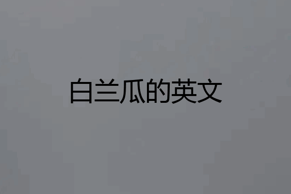 白兰瓜的英文