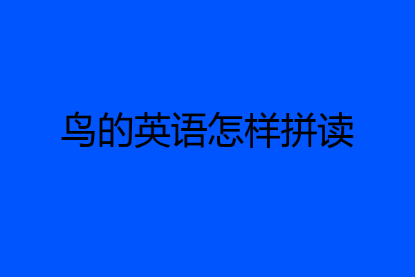 鸟的英语怎样拼读