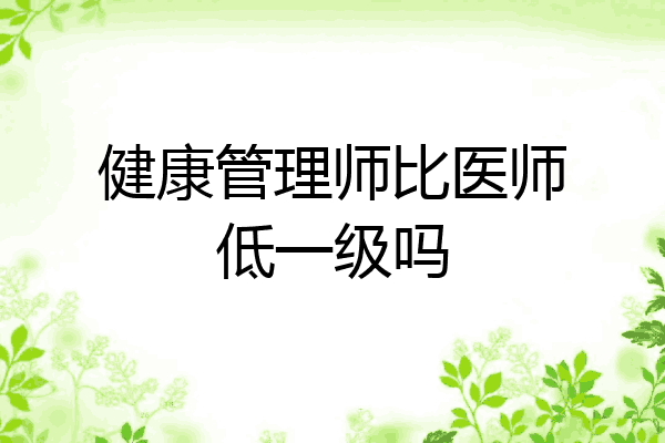健康管理师比医师低一级吗