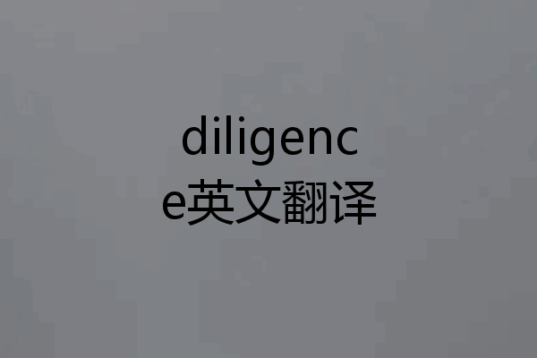 diligence英文翻译