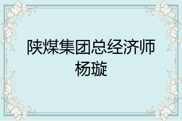 陕煤集团总经济师杨璇