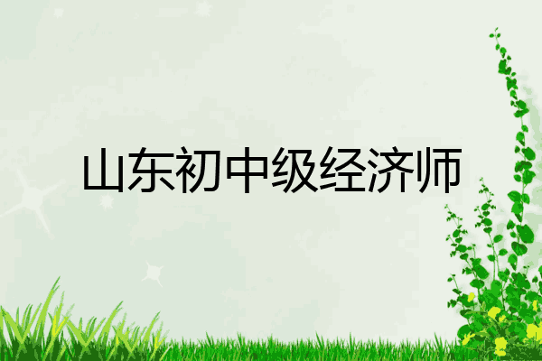 山东初中级经济师