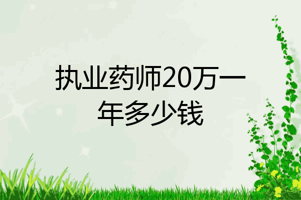 执业药师20万一年多少钱