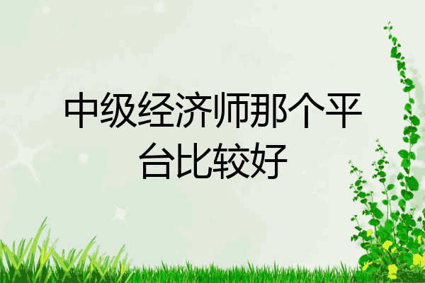 中级经济师那个平台比较好