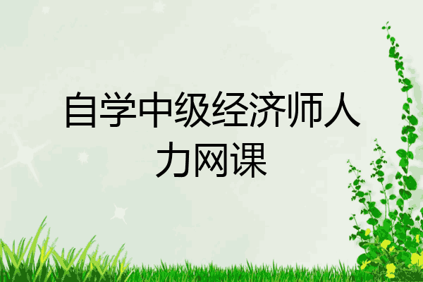 自学中级经济师人力网课