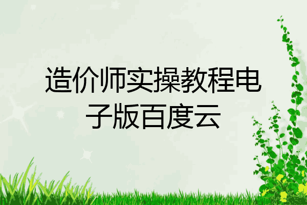 造价师实操教程电子版百度云