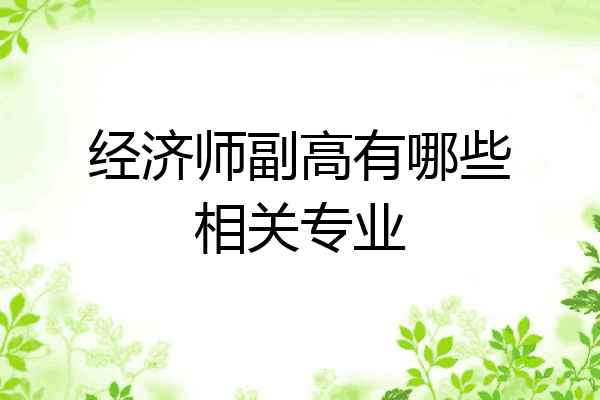 经济师副高有哪些相关专业