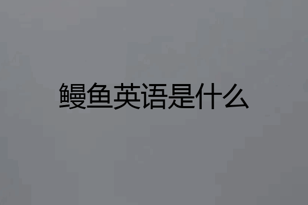 鳗鱼英语是什么