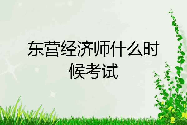 东营经济师什么时候考试