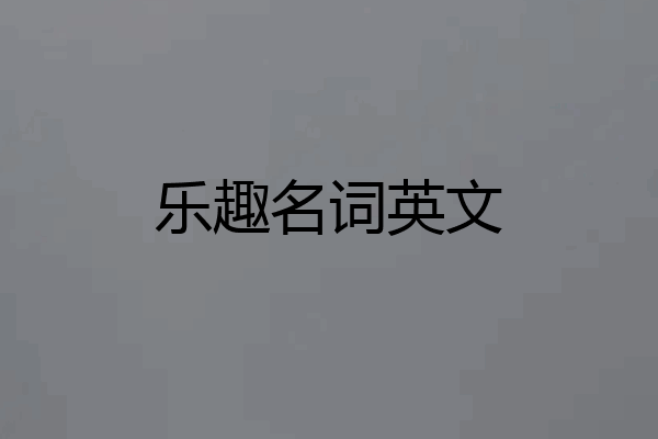乐趣名词英文