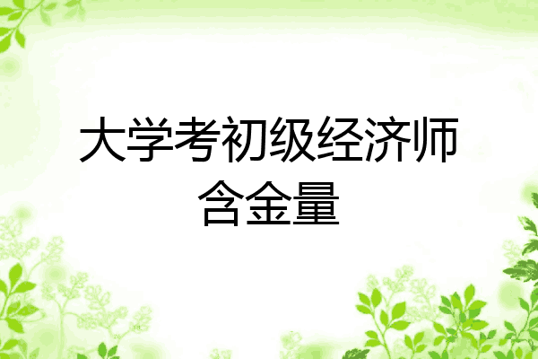 大学考初级经济师含金量