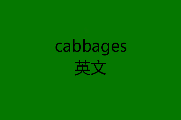 cabbages英文