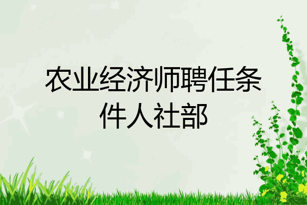农业经济师聘任条件人社部