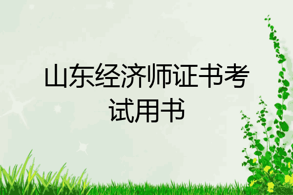山东经济师证书考试用书