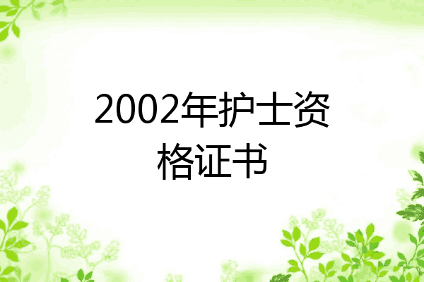 2002年护士资格证书