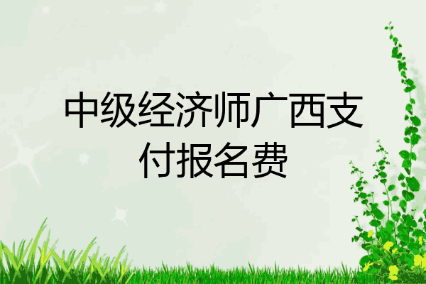 中级经济师广西支付报名费