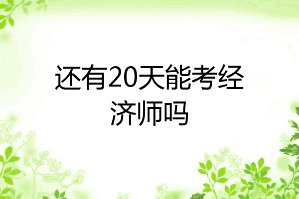 还有20天能考经济师吗