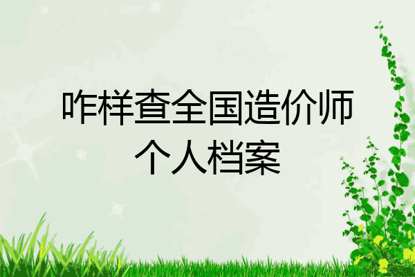 咋样查全国造价师个人档案