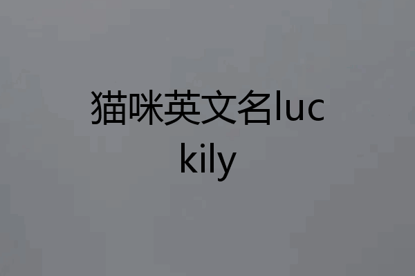 猫咪英文名luckily