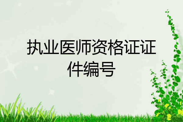 执业医师资格证证件编号