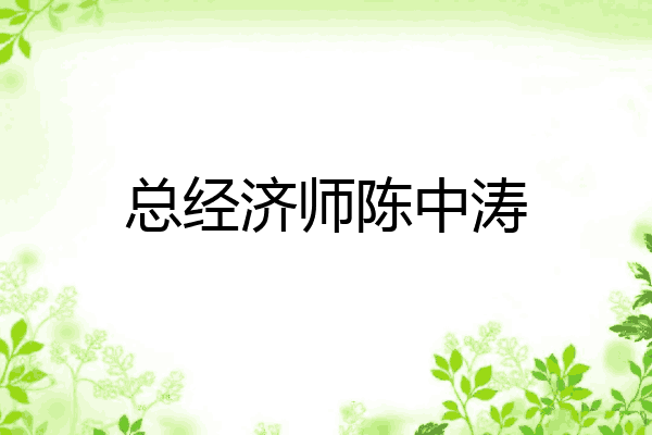 总经济师陈中涛
