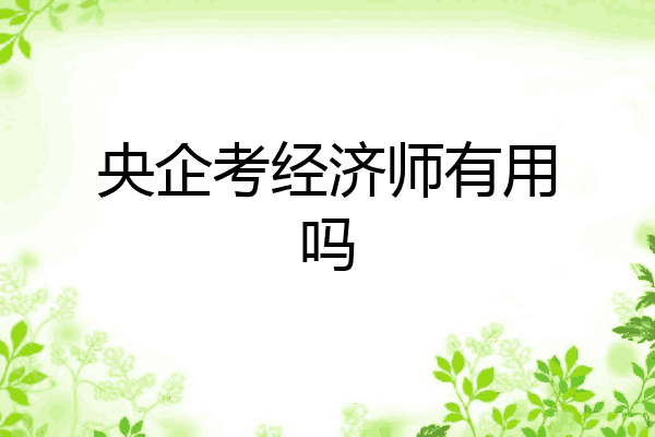 央企考经济师有用吗