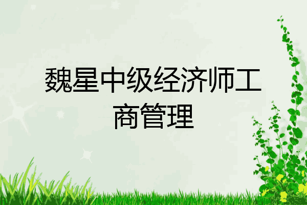 魏星中级经济师工商管理