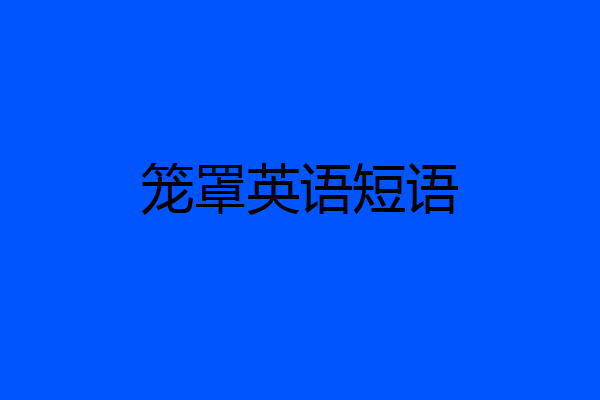 笼罩英语短语