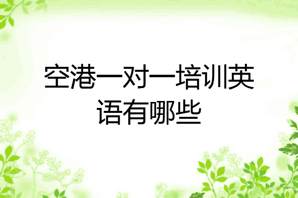 空港一对一培训英语有哪些