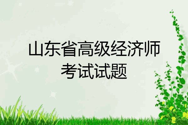 山东省高级经济师考试试题