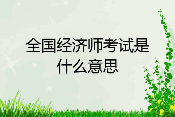 全国经济师考试是什么意思