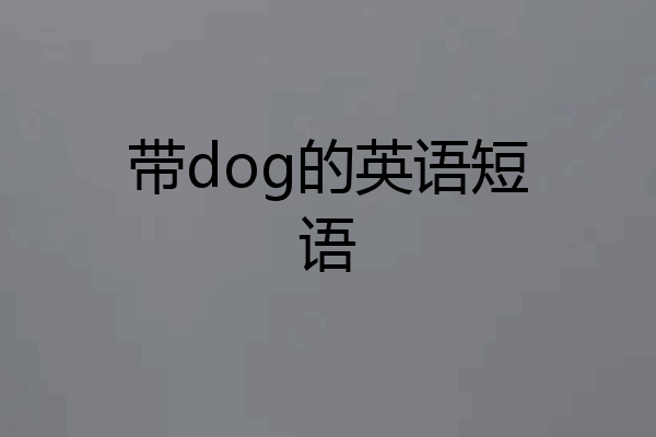 带dog的英语短语